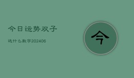 今日运势双子选什么数字(20240615)