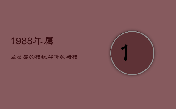 1988年属龙与属狗相配解析：狗猪相合，性格互补成佳缘