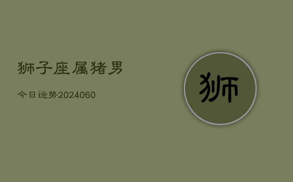 狮子座属猪男今日运势(20240603)  第1张